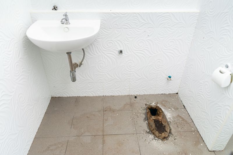 Toilet Replacement detail